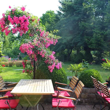 Und Restaurant Eurohof 4* 뒤스부르크